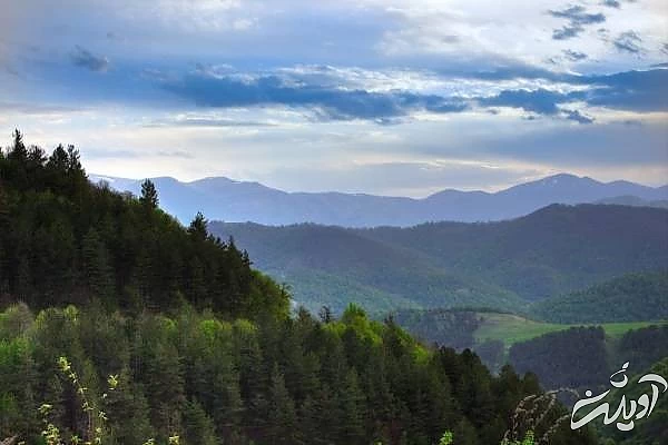 پارک ملی دیلیجان ارمنستان  پارک ملی